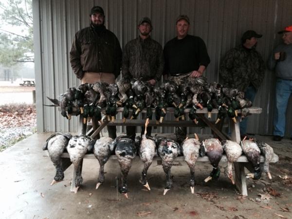 Duck Hunts Photo