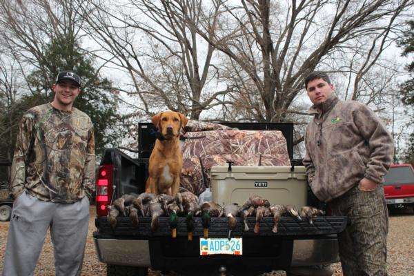 Arkansas Duck Hunts